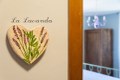 images/lavanda/1.jpg