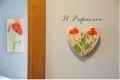 images/papavero/1.jpg